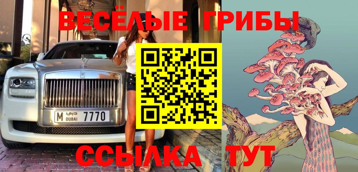 Галлюциногенные грибы ЛСД  Галлюциногенные грибы Psilocybine cubensis  Вход с VPN  Кингисепп 